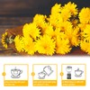 TEARELAE - Dandelion Root Tea - 2.5g x 120 Count