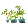 90 Pcs Plant Training Clips, Plastic Low Stress Training Clips,