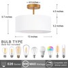 Bargeni Semi Flush Mount Ceiling Light,13 inch Drum Ceiling Light