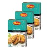 Shan - Fried Fish Seasoning Mix (50g) - Spice Packets