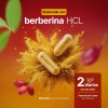 Berberina HCI B Life Pure Berberine en cápsula Sin sabor