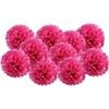 Pack of 10 Tissue Paper Pom pom Flower Ball Pompom