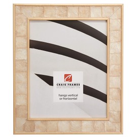 Craig Frames Opulence Picture Frame, 16 x 20 Inch, Gold Mother of Pearl