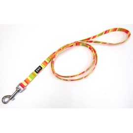 ONS Rainbow Lead #15 Orange (Small Dogs)