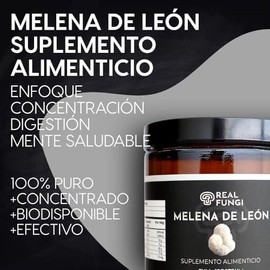 Hongo Melena de Leon 100 Puro - Real Fungi - Melena de Leon Suplemento en polvo de extracto de hongo - (100g) -