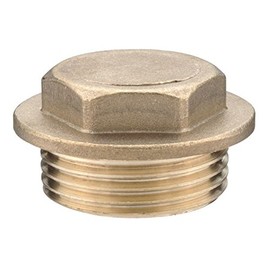1/2" Brass Flanged Plug