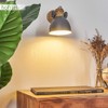 Orny Ceiling Light in Various Designs