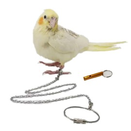 Bird Foot Chain Flying Stainless Steel Training Rope Outdoor Parrot Ankle Foot Ring Accessories Bird Harness Leash Prevent Escaping (Model15)