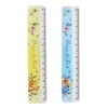 Bear Pooh 15cm Straight Ruler Set, Metric for School Classroom,