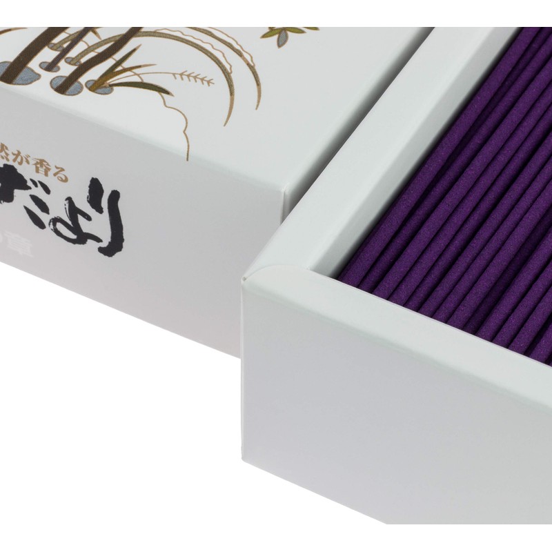 Wind it more Winter of the Chapter Roses If