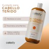 CELESTY | Shampoo Matizador - Variedad Amarillo Azul Morado Negro
