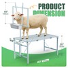 Gelacie Goat Milking Stand with Feeder, 600lbs Sheep Hoof Trimming