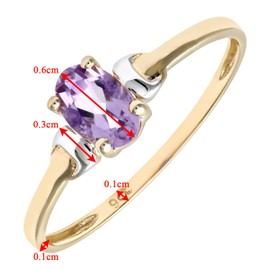 Citerna 9 ct Yellow and White Gold Amethyst Birth Stone Ring - Size K