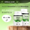 Konjak 625 mg 90 Capsules - 4000 mg Glucomannan per