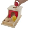 Tiger Montessori Object Permanence Box with Tray Three Balls for