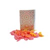 250g Rectangular Box Peppermint Pattern of Juicy Fruit Chews