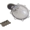 Pentair 263042Z CPVC 2 Inch 2 Way Pool Spa Check