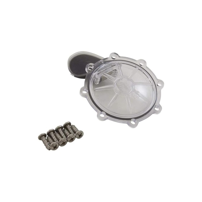 Pentair 263042Z CPVC 2 Inch 2 Way Pool Spa Check