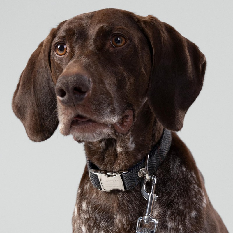 HUGO & HUDSON x HACKETT Tweed Dog Collar with Adjustable
