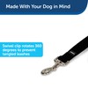 PetSafe Nylon Dog Leash - Strong, Durable, Traditional Style Leash