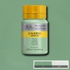 Winsor and Newton Galeria Acrylic Colour 250ml 435 Pale Olive
