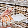1000 Pcs Farm Fresh Eggs Carton Labels Stickers 2 Inch