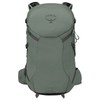Osprey Unisex's Sportlite 25 Backpack, Pine Leaf Green, S/M