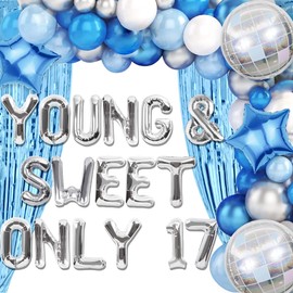 LaVenty Silver Blue Young and Sweet Only 17 Birthday Decoration Young and Sweet Only 17 Banner Dancing Queen 17 Decoration