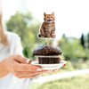 Seyal® Cat CupCake Topper