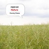 ProChef Whole Cumin Seeds – High in Iron & Antioxidants,
