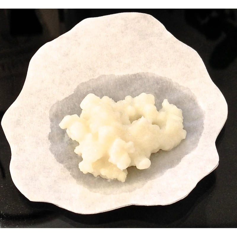 Live RAW Milk Kefir Grains culture (Other - see details)