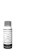 KILZ Magnolia Home by Joanna Gaines Interior/Exterior Spray Paint for