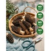MillynLike Dried Morel Mushrooms Trimmed Stems & Large Caps (2+