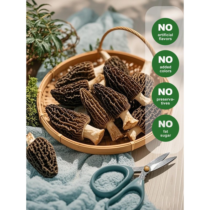 MillynLike Dried Morel Mushrooms Trimmed Stems & Large Caps (2+