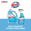 SC Johnson Professional Windex Glass and More Multi-Surface Cleaner, Windex