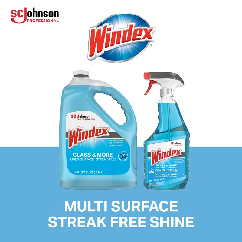 SC Johnson Professional Windex Glass and More Multi-Surface Cleaner, Windex