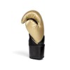 Everlast Unisex - Adult Boxing Gloves Pro Style Elite Gloves