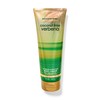 Coconut Lime Verbena Body Cream Ultimate Hydration Bath and Body