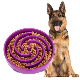 JASGOOD JASGOOD Slow Feeder Dogs Bowl for Large Medium Dogs,Anti-Gulping Pet Slower Food Feeding Bowls Stop Bloat,Preventing Choking Healthy Design Dogs Bowl