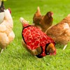 Chicken Saddles for Hens, Chicken Apron Back Protector Hen Mating