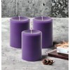 Mister Candle Dripless Unscented Pillar Candles, Set of 3 Hand
