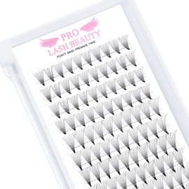 Premade Fans Eyelash Extensions 10D-D-0.07-14 Premade Volume Lash Extensions Pointed Base Fans 0.07 Premade Volume Fans C D Curl(10D-D-0.07,14mm)