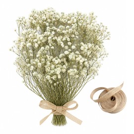 ARYIMYDP Fiori Secchi Decorativi 50 Steli di Gypsophila Bianca, con Corda di Iuta 5 Metri, Fiori Finti per Decorazioni, Per Artigianato Resina e Confezione Regalo