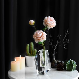 Crystal Vases Can be Tilted,Living Room, Dining Table Centerpieces Decor, Aroma Bottle（3.5"×5.9“）