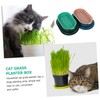 BESPORTBLE 2 Sets Hydroponic Cat Grass Planter Set Soilless Catnip