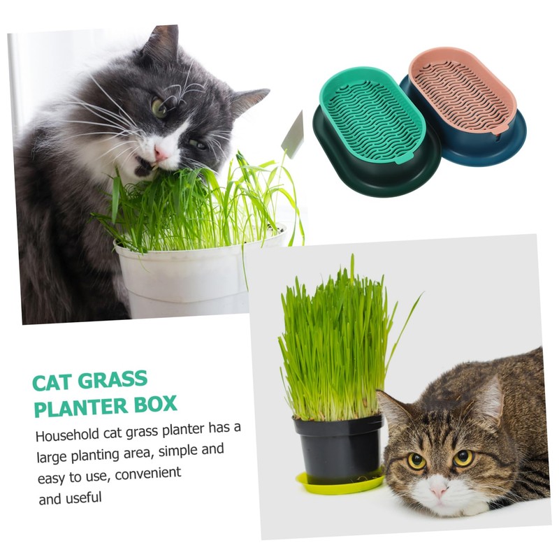 BESPORTBLE 2 Sets Hydroponic Cat Grass Planter Set Soilless Catnip
