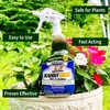 Nature’s MACE Rabbit Repellent 40oz Spray, Covers 1,400 Sq. Ft.,
