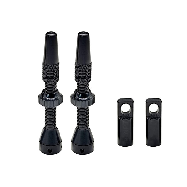 BesNPT 2Pcs Tubeless Valve Stems,44mm Black Valve Stem with Valve