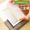 Sanby HNKS-01 Straight Push Ruler