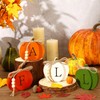 PETKNOWS 4 PCS Fall Pumpkin Wooden Signs, 3D Pumpkin Tabletop